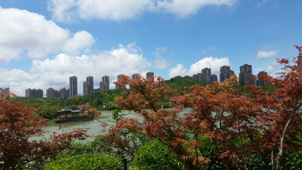 贵阳观山湖湿地公园,蓝天白云湖边散步惬意啊,我太爱这样的天空和气息