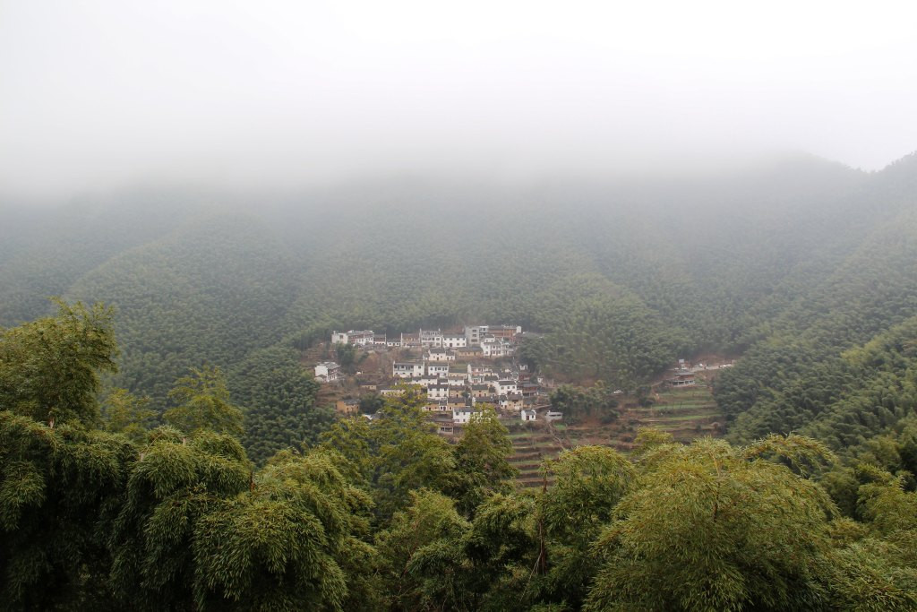 中国画里乡村"宏村"配套游之"木坑竹海"
