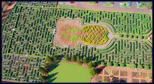 法国海纳安德尔迷宫:世界上最大的植物迷宫