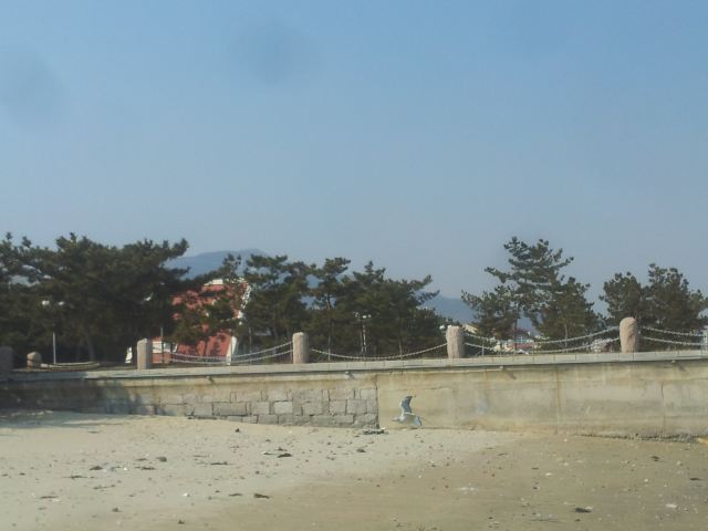烟台莱山区从金沟寨到清泉寨的绝美海景