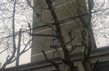 【携程攻略】松江岳庙门票,上海松江岳庙攻略