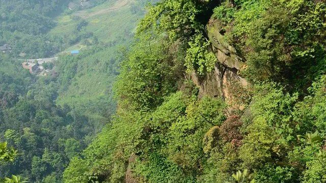 玉龙山门票,大足玉龙山攻略/地址/图片/门票价格【携程攻略】