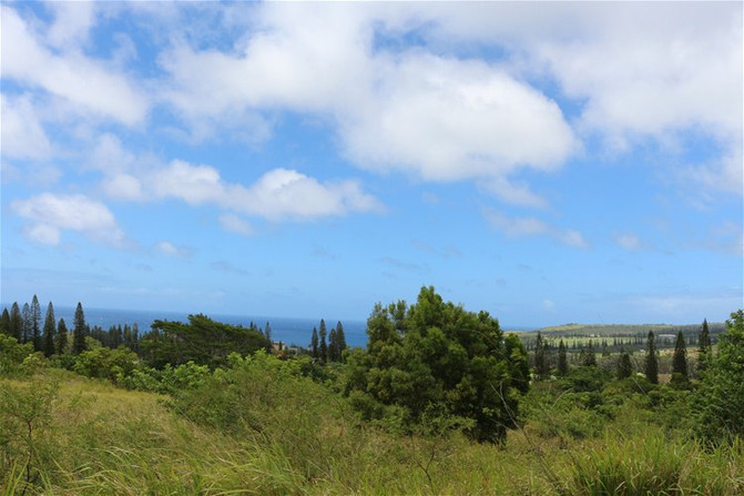 鲸村海滩是绍兴十大美丽海滩之一。夏威夷10金华至美国一日游攻略图片