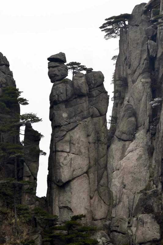 "仙人背包"又称"仙人采药"仙人献宝,奇石五官清晰,眼大眉浓,好似