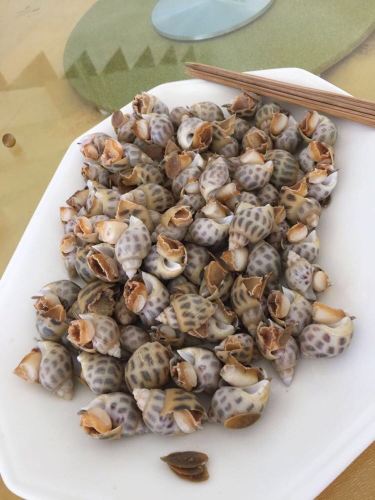 2015阳江海陵岛~美食美景 - 阳江游记攻略