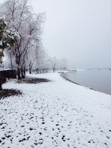 南方的冬天不仅有艳阳高照还有大雪纷飞.