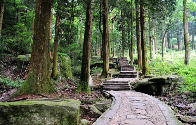 不识庐山真面目 只缘身在此山中(详细攻略东西