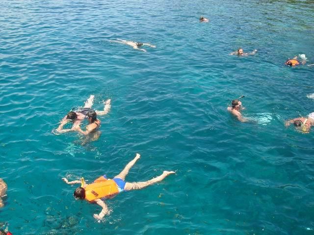 仙本那浮潜攻略-水族馆的奇妙世界 - 仙本那游记攻略【携程攻略】