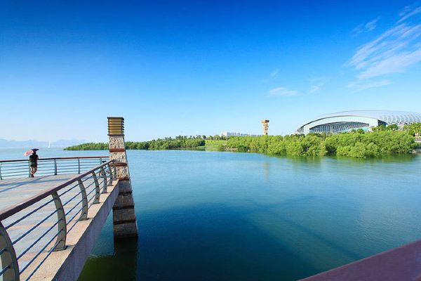 深圳有什么好玩的地方?秋天在深圳游玩可以去