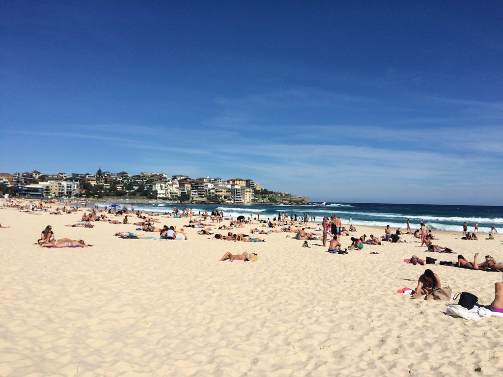 第一站到了皇家植物园,然后是比较有名的bondi beach 邦迪海滩