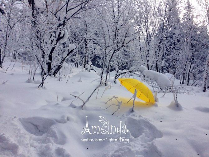 粉妆玉砌,银霜遍地。徒步穿越雪谷雪乡 - 哈尔