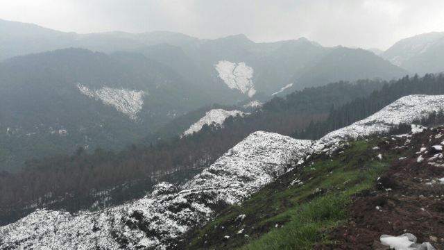 黑熊谷森林公园门票,乐山黑熊谷森林公园攻略/地址