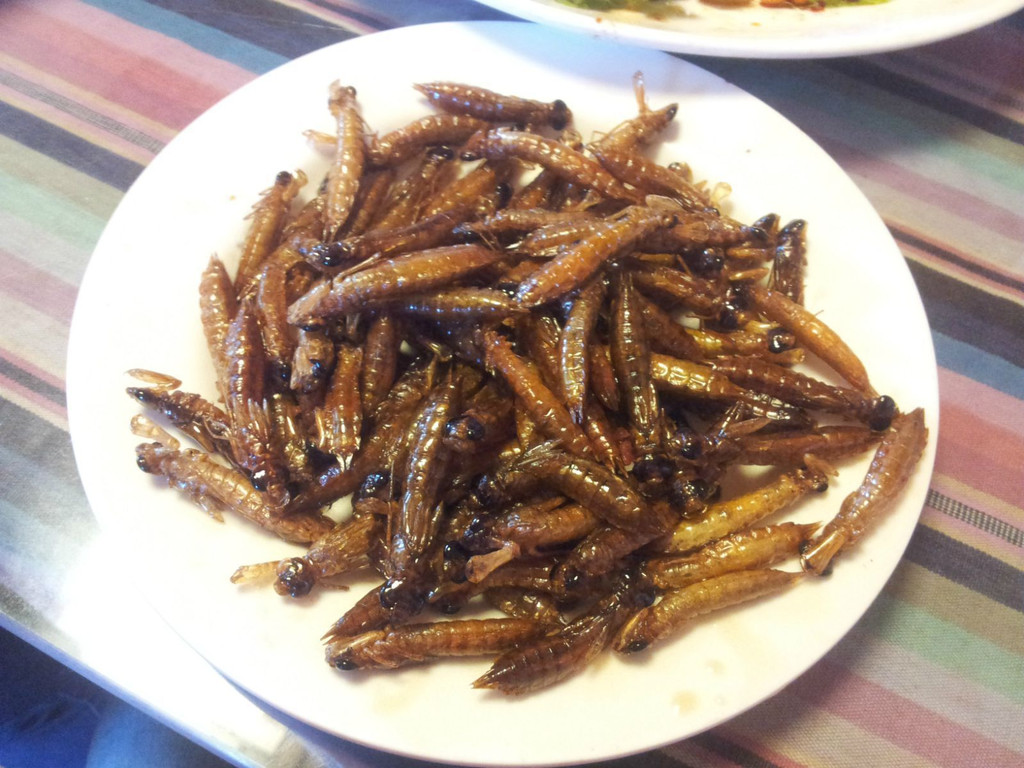 油炸水蜻蜓                                