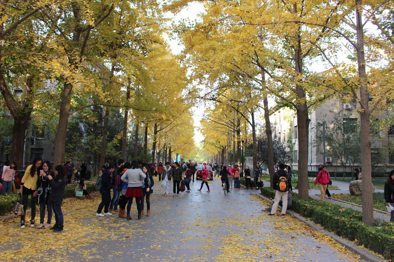 北京林业大学