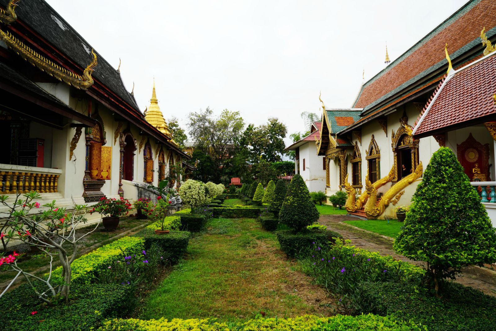 清迈市清曼寺实是清净寺 清曼寺