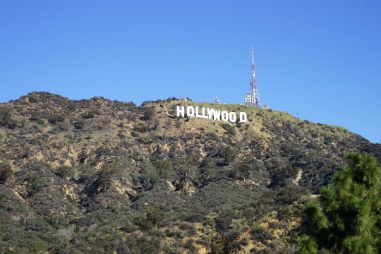 hollywood hills 4.