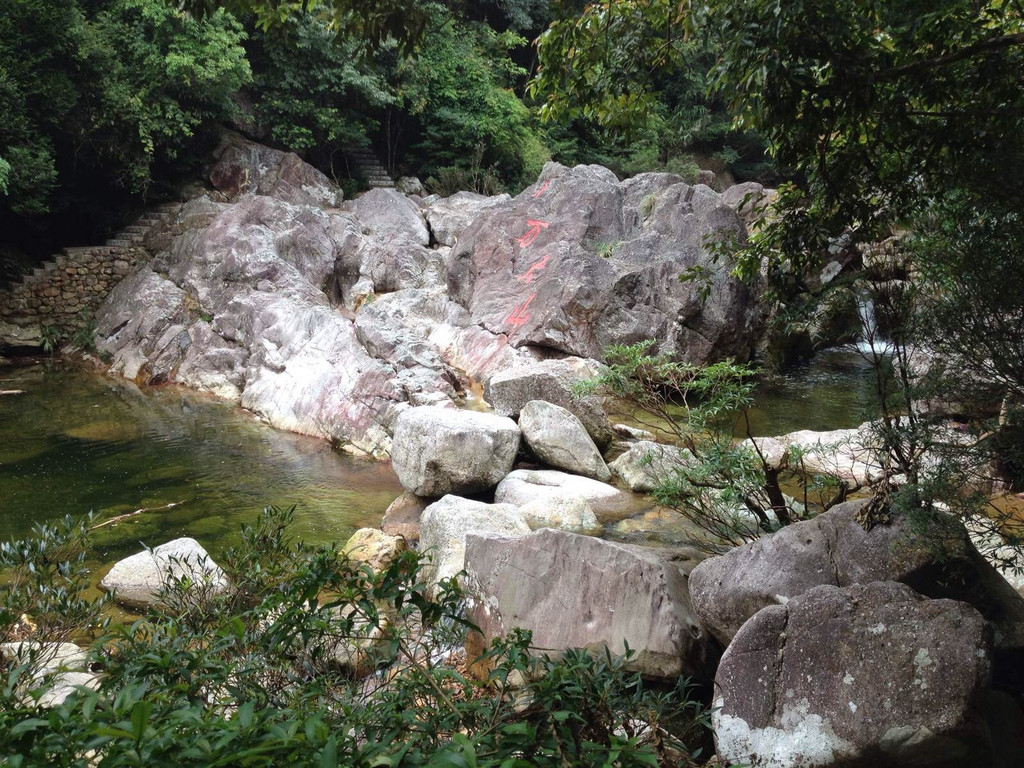 广西上思县十万大山国家森林公园