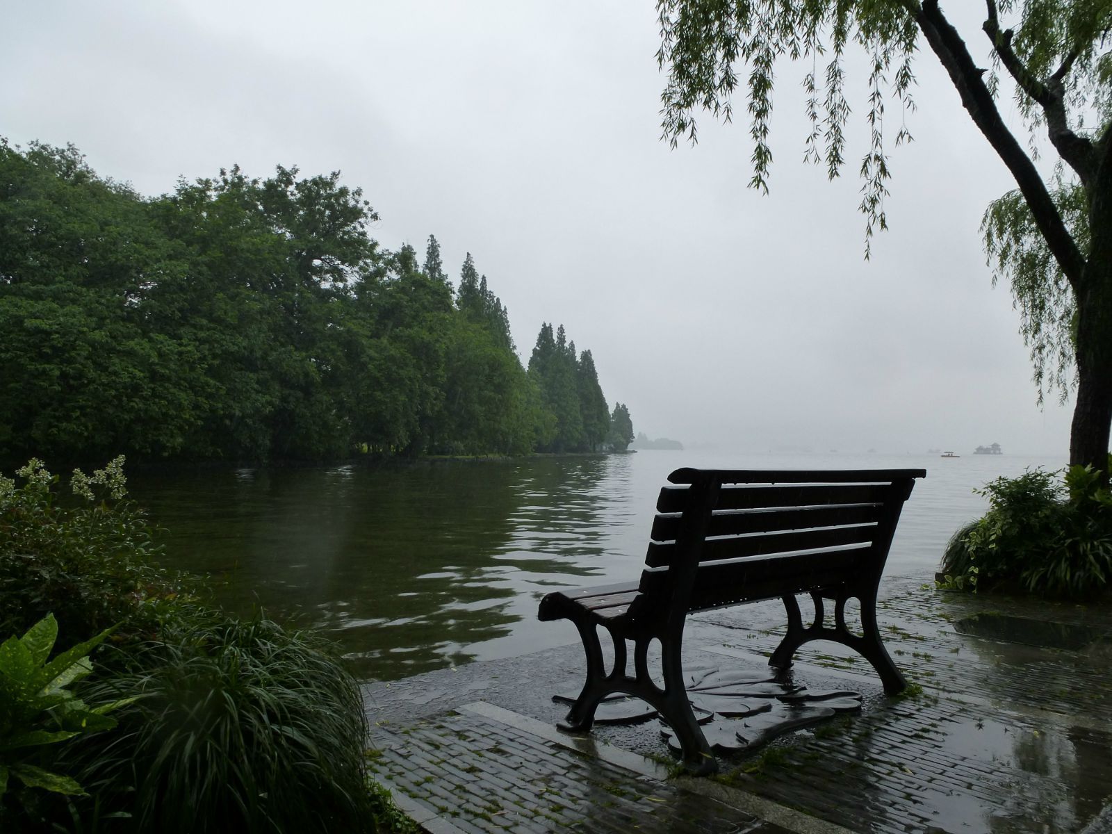 柳浪闻莺,地处西湖东南隅湖岸.南宋时为帝王御花园,称"聚景园".