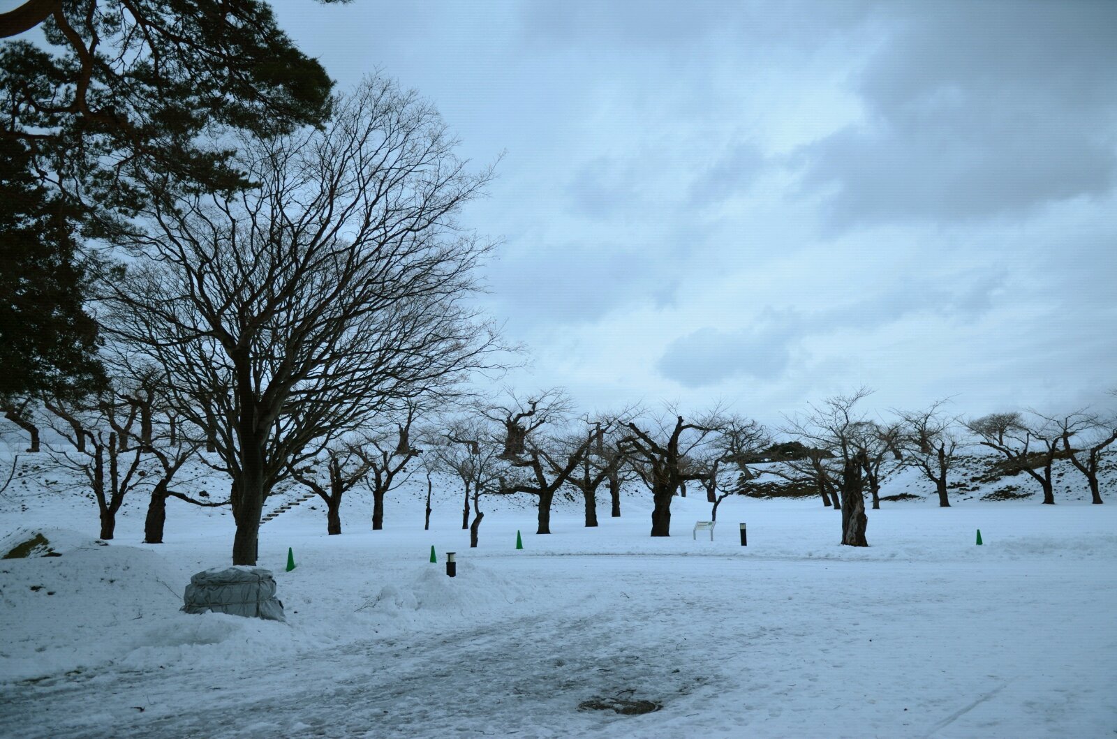 北海道の初雪 北海道雪景温泉11天自助游