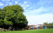 迪拜景点推荐\/旅游景点排名,迪拜景点大全\/旅游