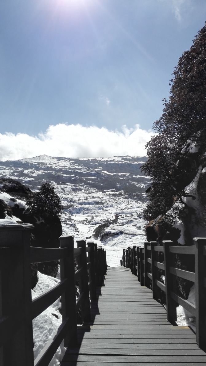 雪山大全之巅,轿子a雪山不虚此行-昆明景色攻逃生大v雪山游记攻略图片