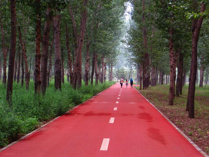 潮白河森林公园(北京顺义)