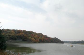 阜新大清沟攻略,阜新大清沟门票/游玩攻略/地址/图片