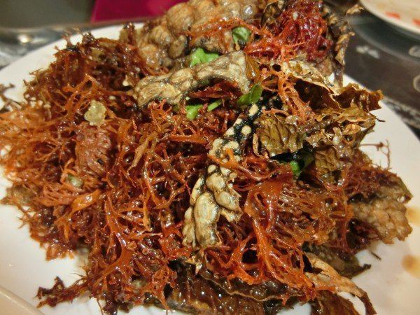 千张美图+丽江最强省钱攻略! - 丽江游记攻略