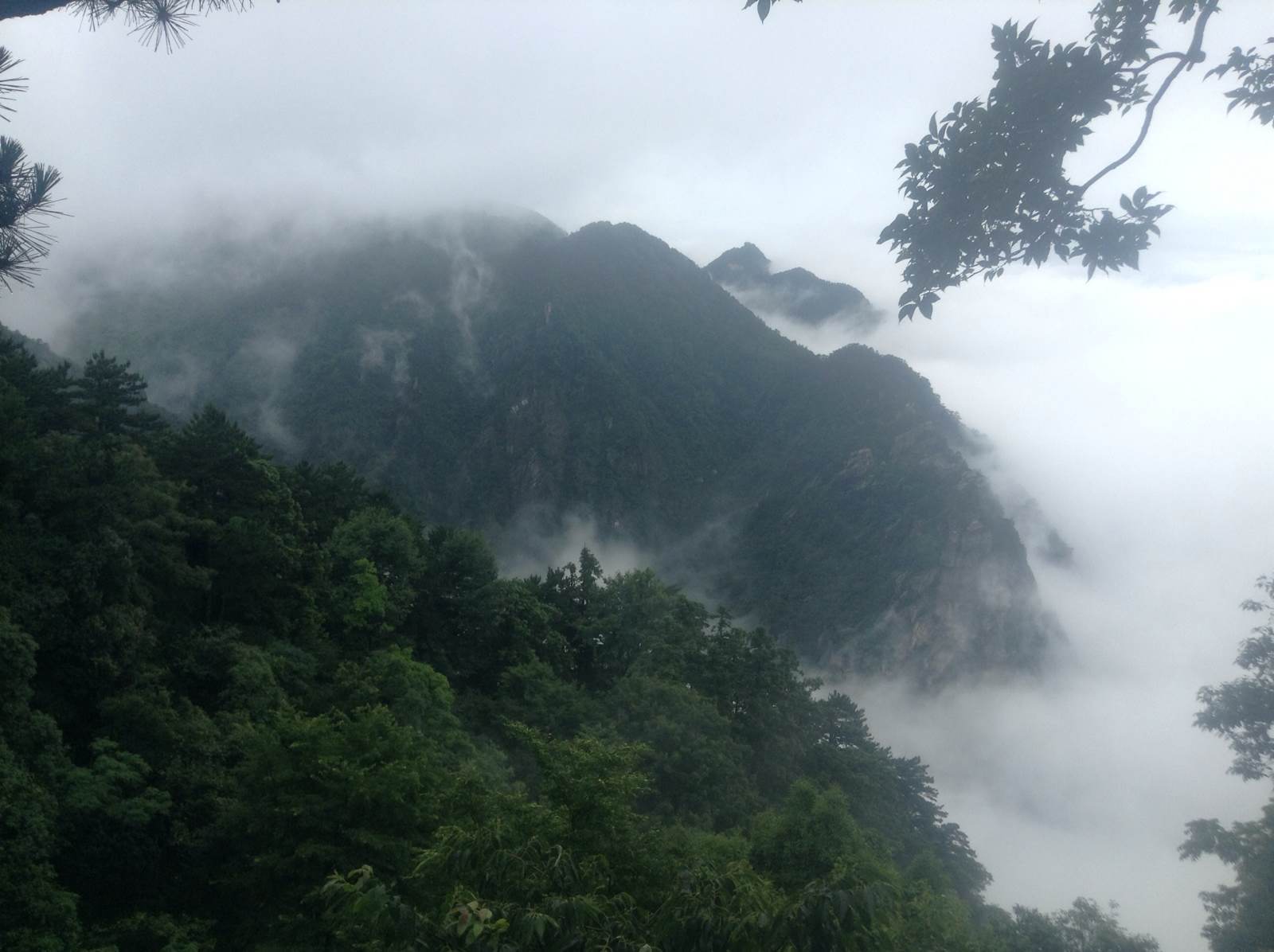 庐山大天池泼墨山水画