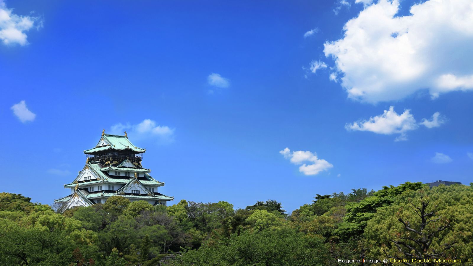 大阪城天守阁