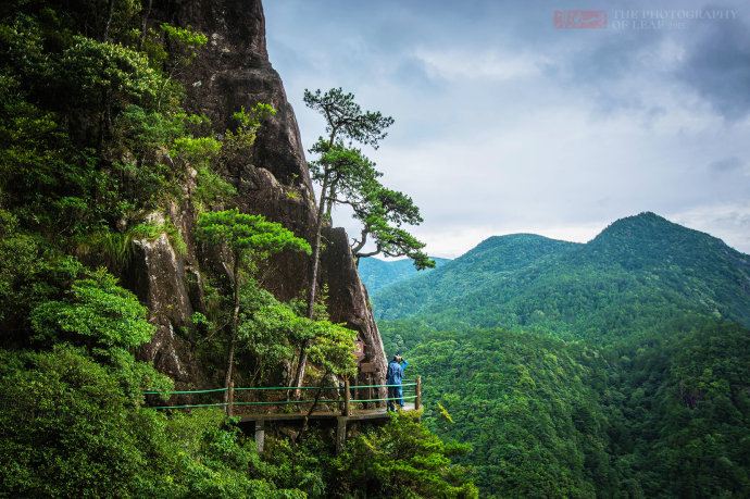 探寻浙江的高山原始森林"龙泉山"