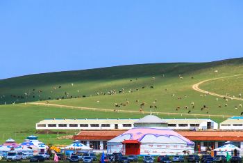 太仆寺旗