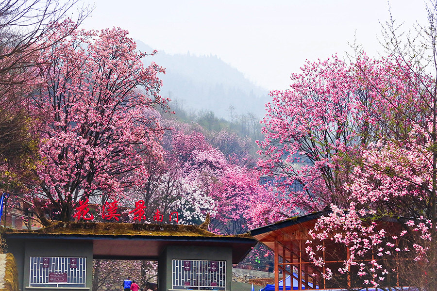 九皇山花溪景,赏花玩水露营浪漫二日游