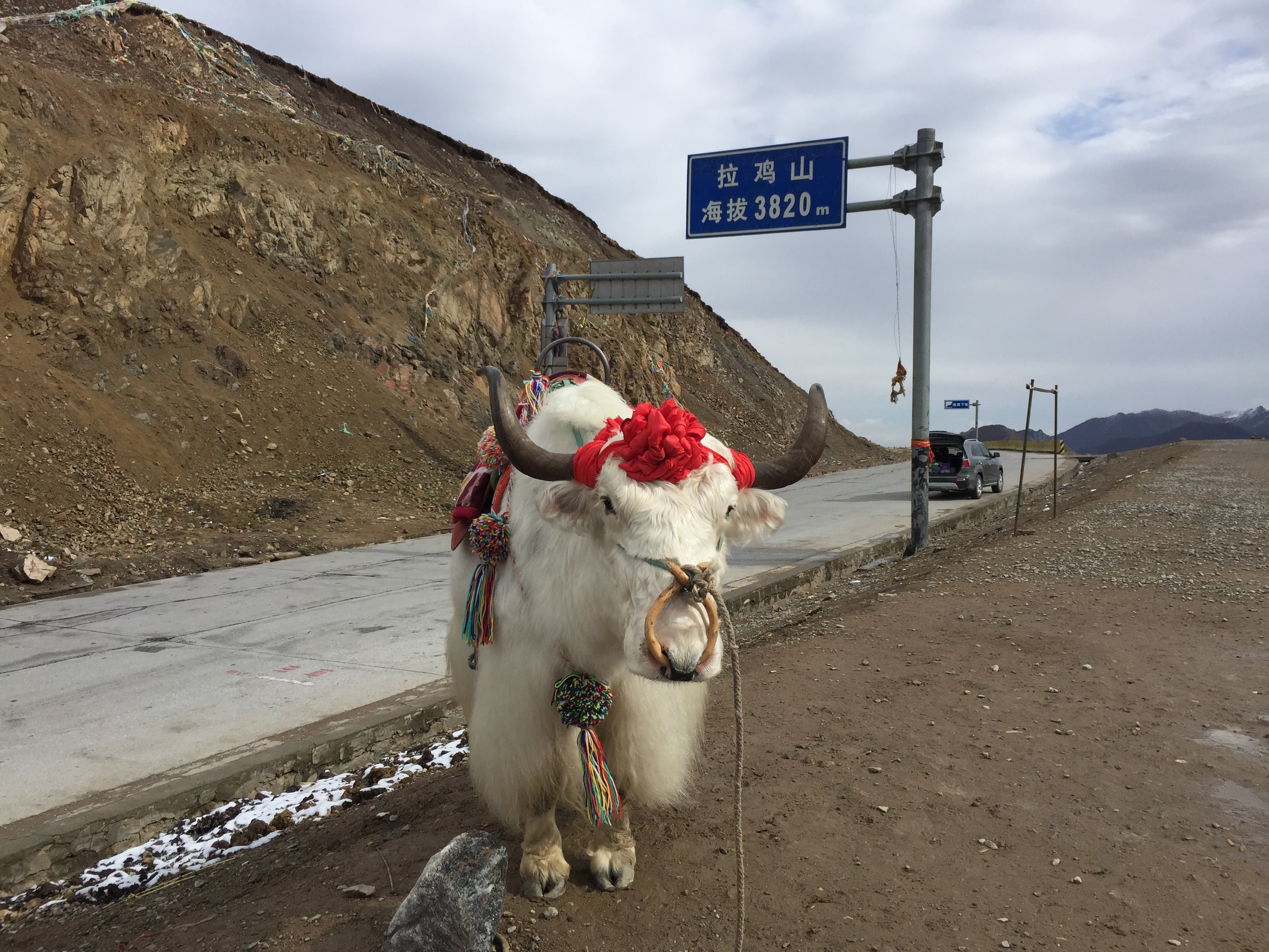 拉鸡山