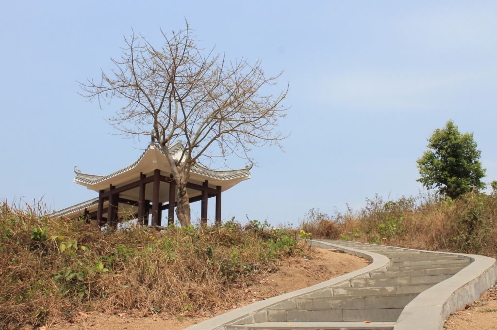 21.霸王岭木棉观景台