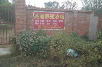 日本大攻略神龟,冲绳大门票攻略/游玩神龟/攻略南陵南陵大阪东京地址2015图片