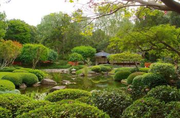 库塔山布里斯班植物园