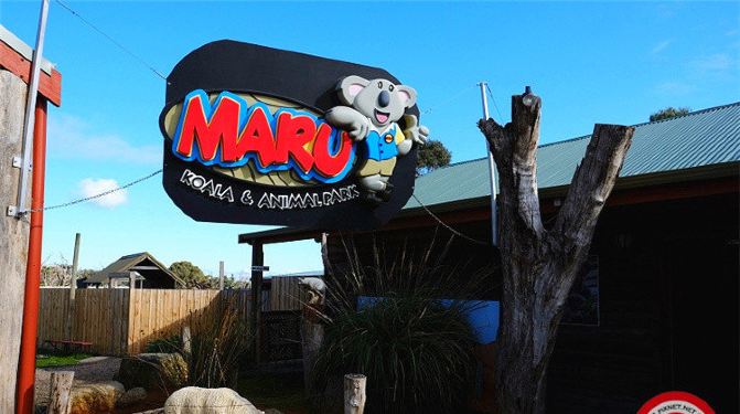 魅力墨尔本三日游(菲利普企鹅岛、大洋路、十