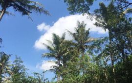 巴厘岛Geger海滩天气预报,历史气温,旅游指数