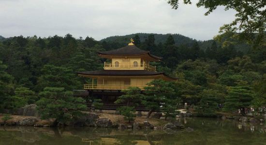 【携程攻略】一日游 包车 京都 大阪 奈良 神户