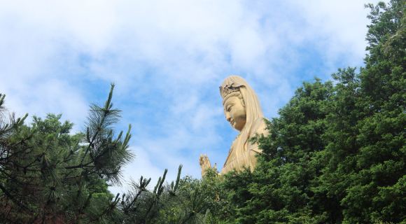 心中有南海,海天拜佛国,闲游普陀山,这场旅行不