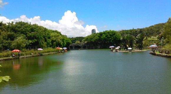 深圳有什么好玩的地方?秋天在深圳游玩可以去