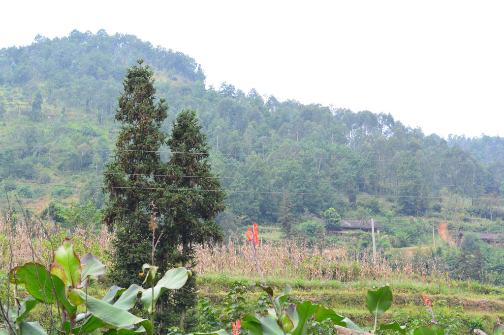 广南县董堡乡里标村