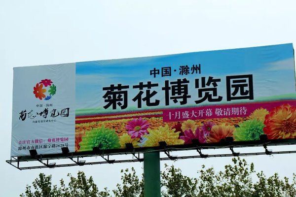 滁州菊花博览园免费向游客开放 吸引众多赏菊人