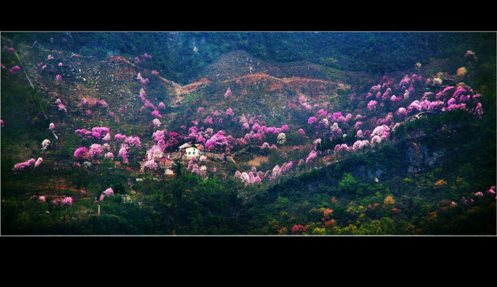 九皇山花溪景,赏花玩水露营浪漫二日游