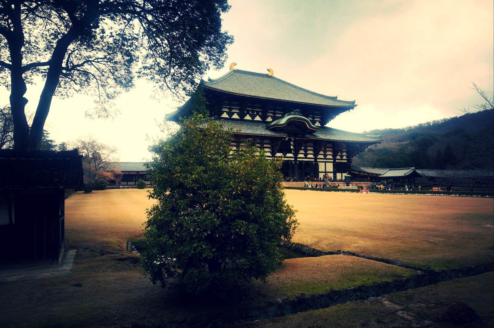 奈良东大寺