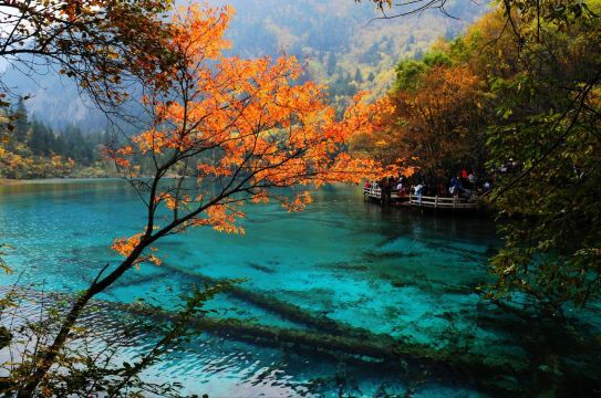 九寨沟五花海介绍,九寨沟五花海,九寨沟五花海图片(第11页)_大山谷图库
