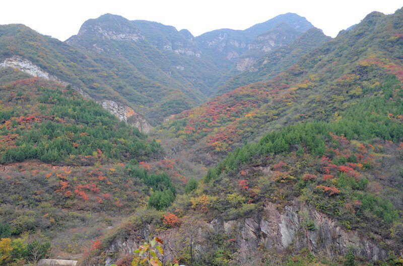 门头沟妙峰山