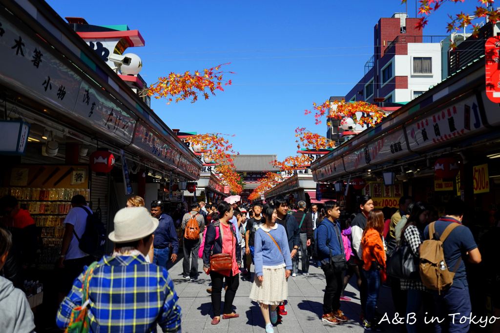 浅草寺商业街前买的冰淇淋,很不错;比人形烧好吃多了