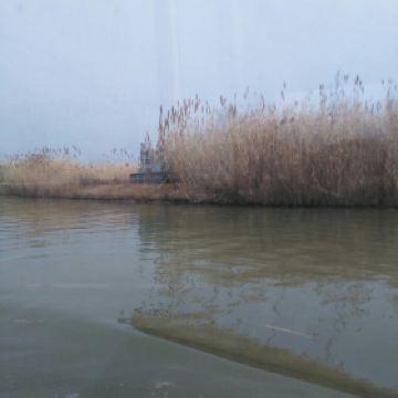 泗洪洪泽湖湿地公园_泗洪湿地公园门票收入